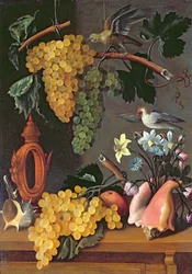 Still Life with Grapes, Birds, Flowers and Shells